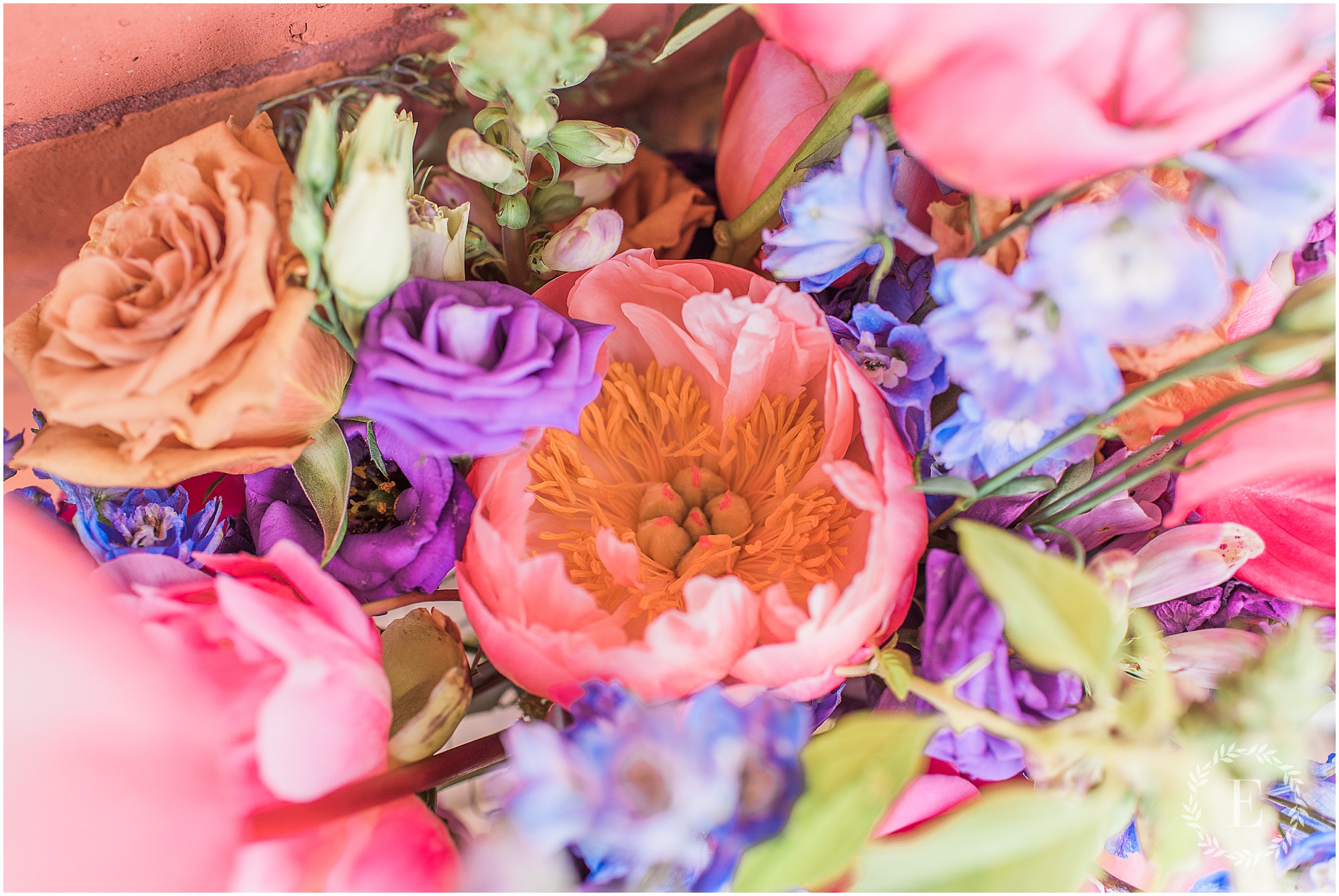 0012 Cait and Saaqib - Jabberwocky Bar Wedding Ottawa- Photography by Emma.jpg