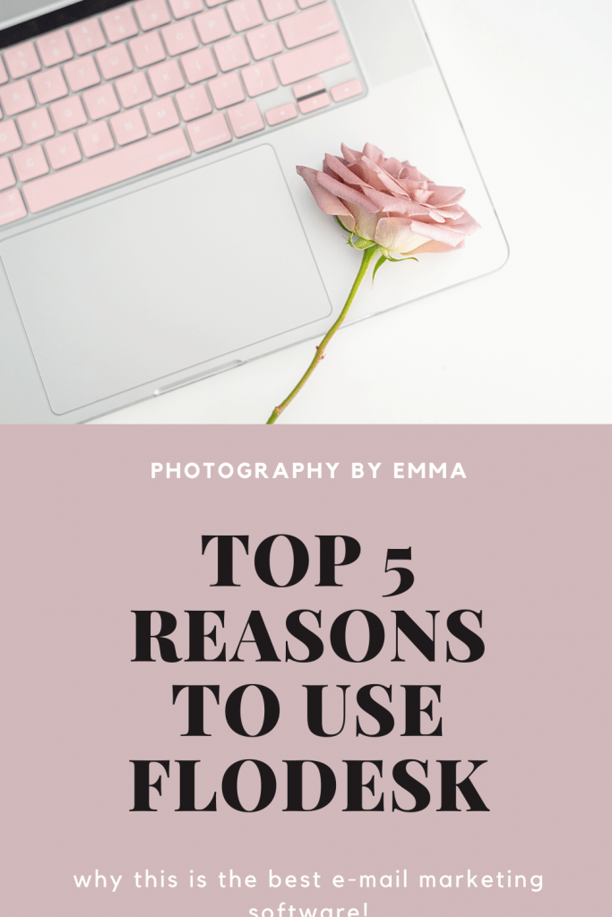 top 5 reasons to use flodesk over mailchimp, rose on macbook, mauve rose.